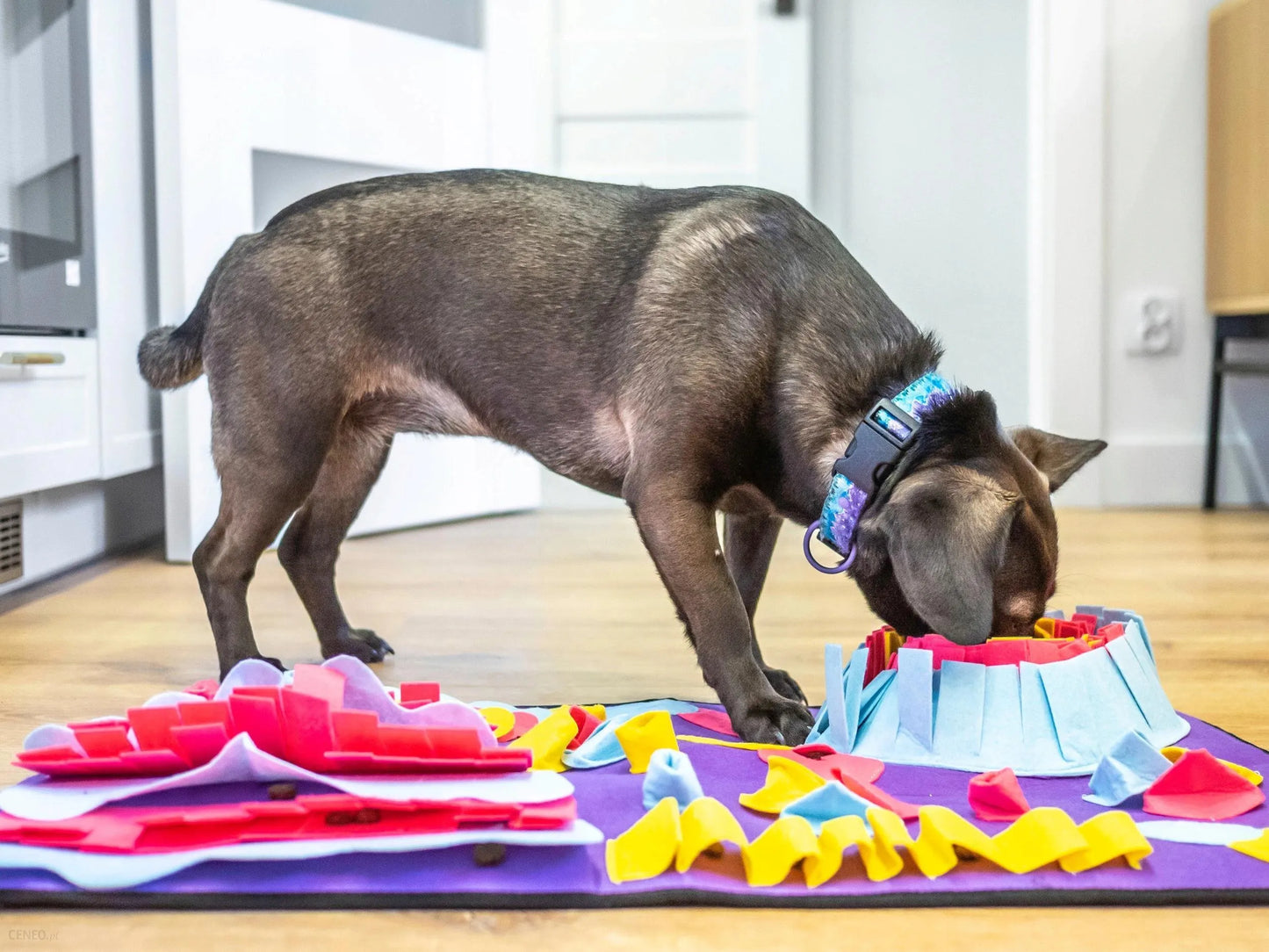 ad33c78c4579e0c6dd0c4426eed6af37